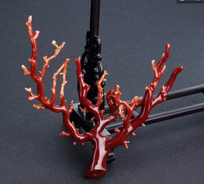珍贵的红珊瑚都能加工制作成哪些类别的饰品呢？